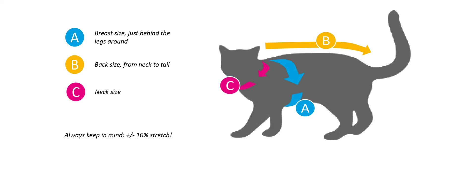 cat size chart