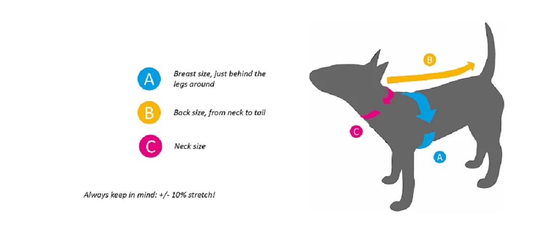 dog size chart